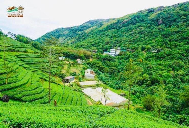 Tabor Hills Resort Vagamon Luaran gambar